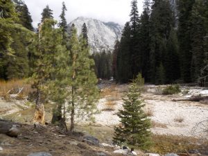 Forrest Mountain View