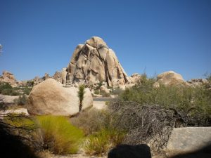 Desert Landscape