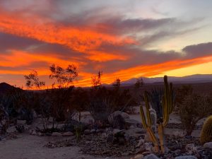 Desert Sunset