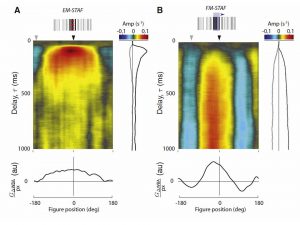 Dual M-Sequence Visual Spatio-Temporal Action Field Graph
