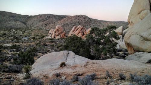 Joshua Tree National Park