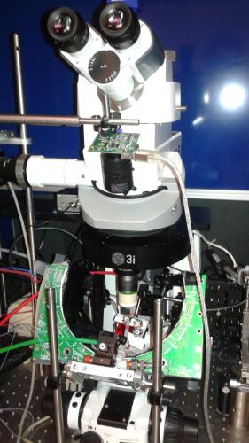 Two photon microscope