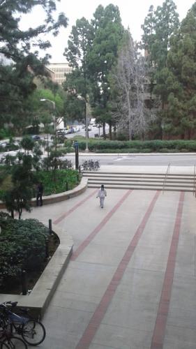 Courtyard outside lab