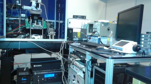 Two photon microscope