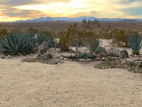 Desert Landscape